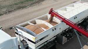 As simple as 𝗔𝗕𝗖, Meridian has your farm’s storage and handling covered. The 'C' stands for Conveyors, the unsung heroes of gentle crop handling, ensuring your seed and specialty crops maintain their quality from field to storage. 𝗔ugers for efficient movement. 𝗕ins for secure storage. 𝗖onveyors for gentle handling. Meridian understands that every step in the process is crucial. That's why we're proud to offer the solutions your farm needs. The ABC's of farming are the foundation of your o
