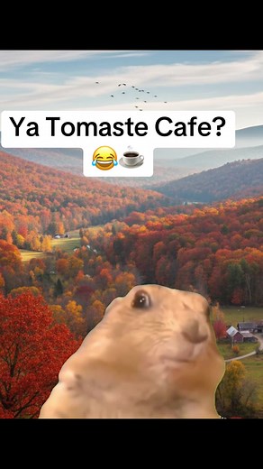 Ya tomaste cafe #humor #funnyvideos #Meme #viernes #coffe | ya tomaste cafe original