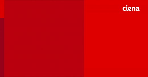 What is WDM or DWDM?