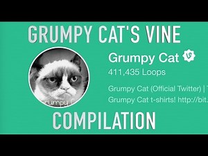 Grumpy Cat's Vine Compilation!