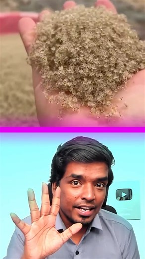 Kethiees_kite on Instagram: "China farmers Carb Farming 😯 #kethiees #tamilfacts #facts"