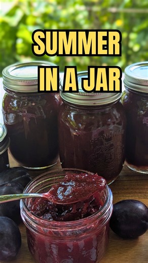 Traditional Balkan Plum Jam | Summer in a Jar #plumjam #recipe #kuhinja #balkan #balkanfood #food