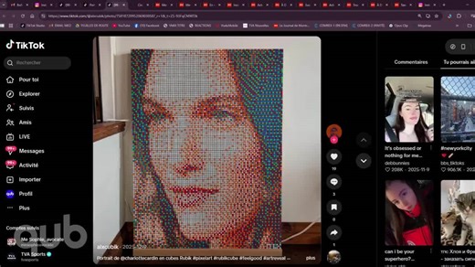 Il peint Charlotte Cardin avec 1200 cubes Rubik