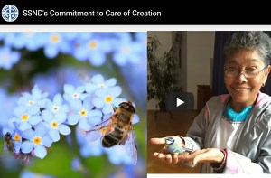 Laudato Si' - School Sisters of Notre Dame