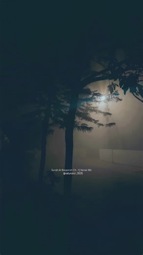 Fiza Minam on Instagram‎: "اے پیغمبر 🤍✨ #naturalist #photography #tilawat #tarjuma #fypppp"‎