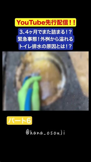 【先行配信】3、4ヶ月でまた詰まる！？緊急事態！外桝から溢れるトイレ排水の原因とは！？ PART6/8 #水回りトラブル #業者 #トイレ詰まり#汚水 #花のお掃除