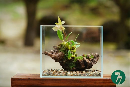 开花了！开花了！制作教程在前面视频里