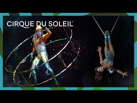 cirque du soleil quidam: gravity, motion flight (2026) performance breakdown