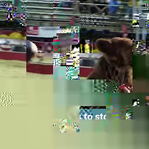 Nanook & Tutter Are Forced to Perform in Shrine Circus