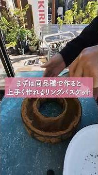 【冬の寄せ植え】まずは23cmのリングバスケットで植えよう！#shorts#寄せ植え #リングバスケット#ビオラ#ガーデンシクラメン#イベリス#ハボタン・ブラックジュエル#園芸#寄せ植え作り方