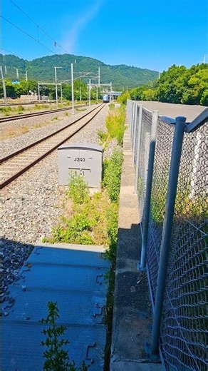 #224 : 한국철도공사(코레일) 구미발 경산행 대경선 전동열차 #K1729 열차 승차 영상