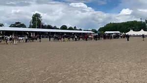 4.7K views · 97 reactions | The winner of the Champagne Laurent-Perrier Meet of the British Driving Society 2021 George Knight driving James Foley’s Rowhill Silver Joker | British Driving Society | Facebook