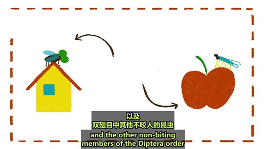 A Bug‘s life 昆虫的一生字幕版刚好适合B站大学生看的英语动画短片故事，学习完一个月词汇量突飞猛进，沉浸式英语学习提升，多个高质量英文动画快速提升词汇