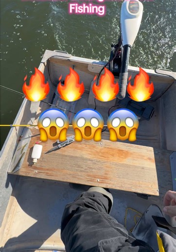 New Jon Boat Setup for Fishing Enthusiasts