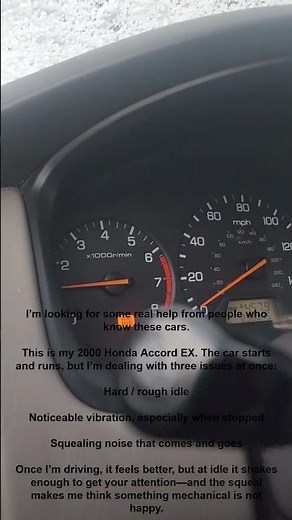 Why Is My Honda Accord Shaking & Squealing at Idle?