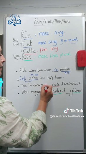 Understanding French Demonstrative Adjectives Explained