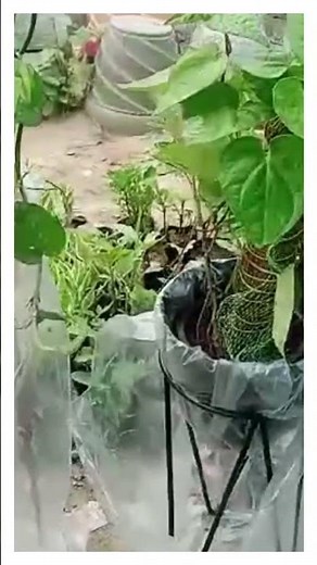 The BEST Flower Pot Stands That Will ELEVATE Your Home Decor