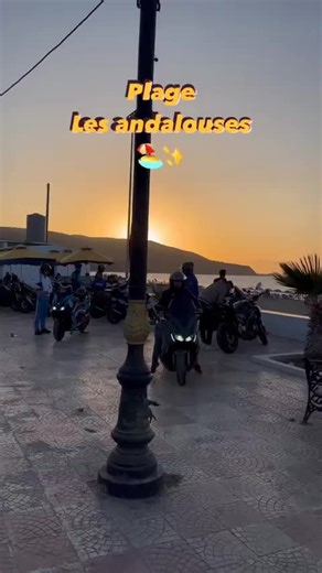 Videos de HAMED (@hamed0728) con “Ana naachak ana ndalak - Cheb Houssem”