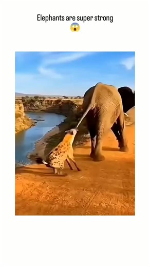 AI OM on Instagram: "Ginagamit ng Japan ang mga piezoelectric na tile upang gawing elektrisidad ang mga yabag ng paa. Kinokolekta ng mga tile na ito ang enerhiyang kinetiko mula sa bawat hakbang. Kapag ikaw ay naglalakad, ang bigat at galaw ng iyong katawan ay nagbibigay ng presyon sa mga tile. Bahagyang yumuyuko ang mga tile, na nagdudulot ng mekanikal na stress. Ang mga piezoelectric na materyales sa loob ng mga tile ang nagko-convert ng stress na ito tungo sa elektrikal na enerhiya. Bawat hak