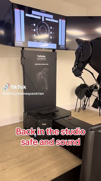 Improving Horse Riding Technique with Mechanical Horse Simulator Lessons