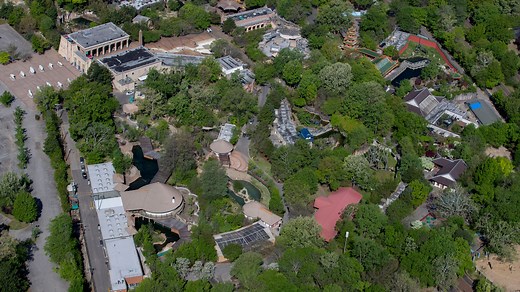 Memphis Zoo makes list of the best in the nation. See where it ranks