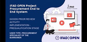 GOODS PRIOR REVIEW ACTIVITY IMPLEMENTATION - PREQUALIFICATION STAGE