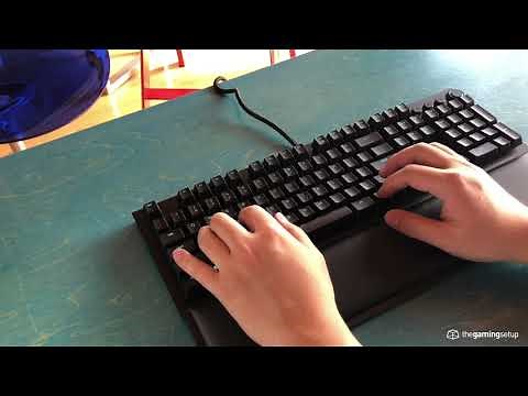 Razer Blackwidow Elite (Razer Orange Switch): Typing Sound Test