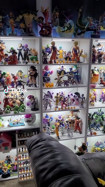 collection 2025! #dbz #goku #dragonballcollection