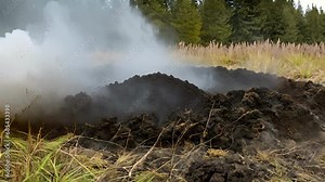Closeup small section peat moss, with thin tendrils smoke billowing from blackened surface fire dies down. warmth from burn almost felt through screen, gardener adds final layer