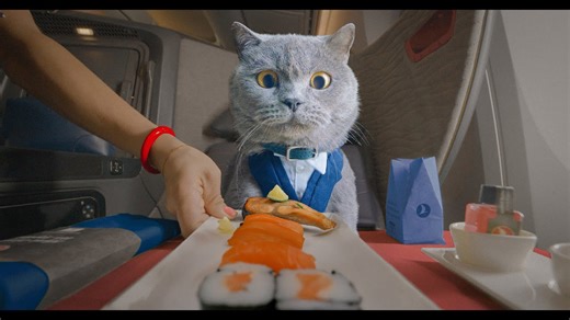 Michael the Cat Takes a Trip to Istanbul (Cat POV)