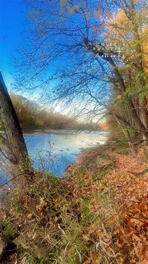 Adventures in the Woods: Embrace Nature's Call