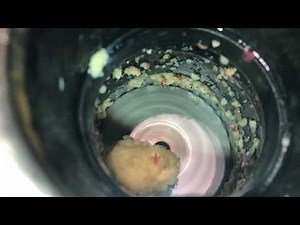 Apple In Garbage Disposal