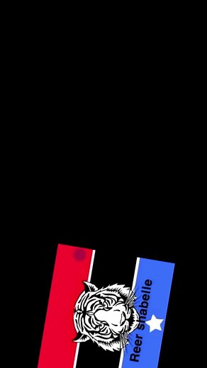 Stylized Tiger Graphic with Bold Background