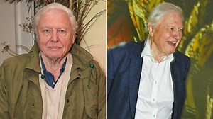 David Attenborough facts: Age, wife, children and incredible life achievements revealed