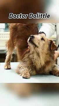 🎬 Dr. Dolittle - The Doctor Who UNDERSTANDS Animals! 🐶💬