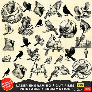 Cardinal Bird SVG, Cardinal Svg, Cardinal Couple Svg, Cardinal Bird Clipart Png, Cardinal Laser Cut, Cardinal Silhouette Svg, Bird Svg Png - Etsy