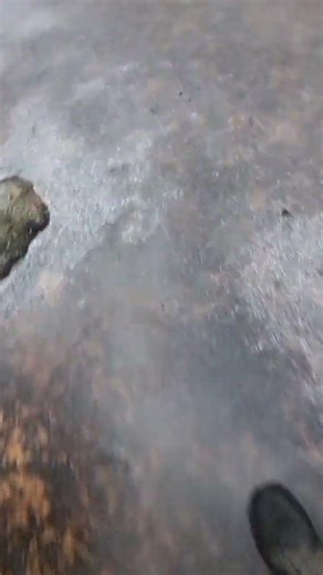 TIDT - Things I'm doing today. Episode 1407.