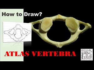 How to Draw Atlas Vertebra | Class 11 | Biology Diagrams Exam Guide
