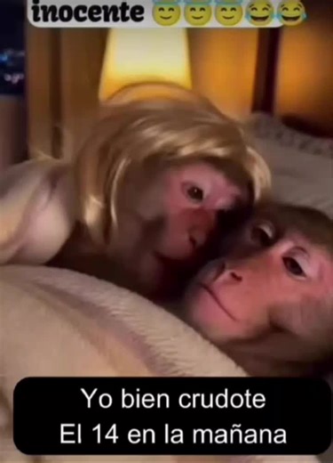 champagne papi (@champagnepapi5o9)’s videos with original sound - champagne papi