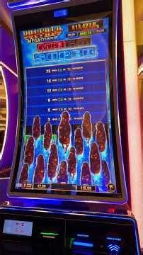 This Buffalo slot was playing very tight tonight small bonuses hard to believe