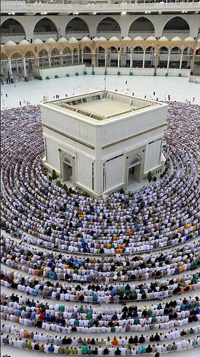 The illuminated interior of a grand mosque showcases intricate patterns, a stunning chandelier,
