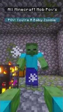 Best Minecraft Mob POV Moments