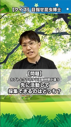 カブトとクワガタは活動時期が違う先に活動して採集できるのはどっち？｜【クイズ】目指せ昆虫博士！#カブトムシ #クワガタ #クワカブ #昆虫 #飼育方法 #初心者