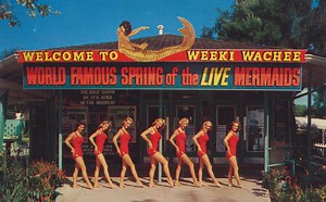 Celebrating the History of Weeki Wachee Springs • Authentic Florida