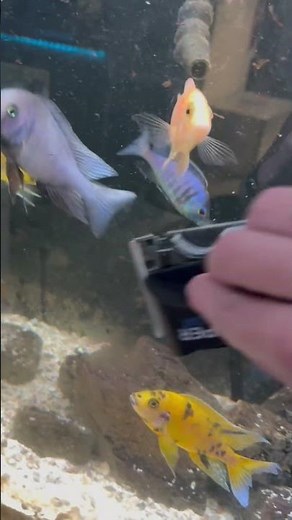 Quick Glass Cleaning 🧽