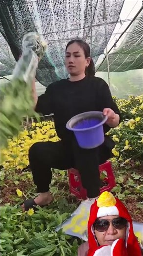 Smart packing technique #packing #plantlover #satisfyingvideos #shortvideo