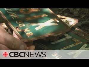 A ‘Disneyland’ for licence plate collectors is hiding in New Brunswick