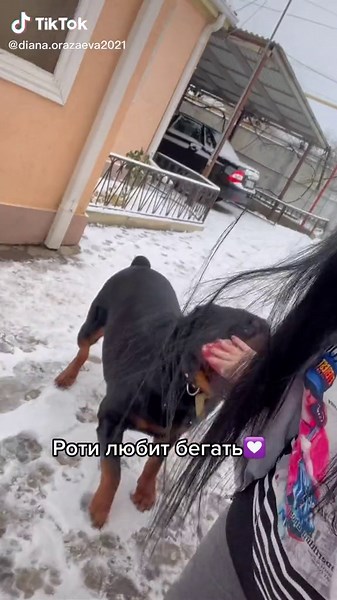 Diana Fridermen (@freadermenn) - Black Rottweiler Dog's Adventures in Snowy Backyard