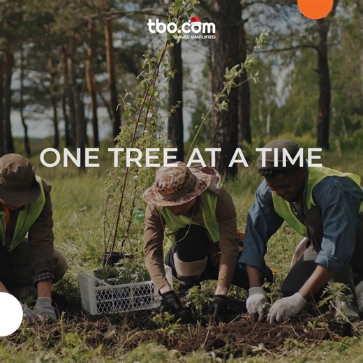 TBO.COM on Instagram: "Under the TBO Cares initiative, we continue our partnership with Evertreen supporting ongoing reforestation efforts across Brazil, Kenya, Madagascar, and Thailand. Through this collaboration, a total of 5,373 trees have been planted, contributing to environmental restoration and supporting local ecosystems and communities. This initiative reflects our long-term approach to responsibility and sustainability, driven by collective participation. #TBO #TBOCares #Reforestation 