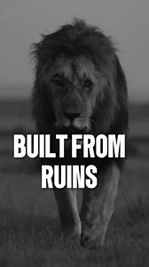 Start Again: Build From Ruins and Rise Strong